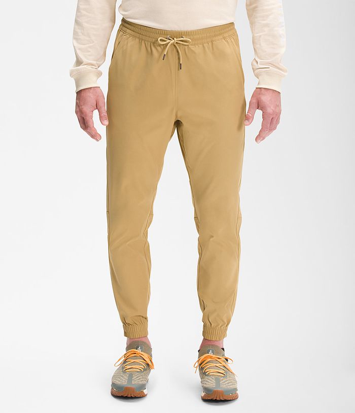 The North Face Broek Heren Standard Jogger BODK76518 - Khaki